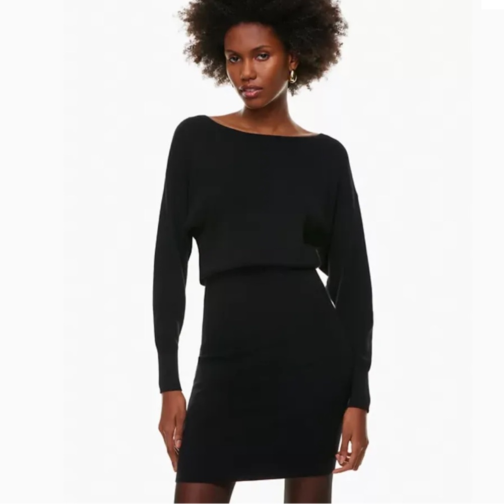 Aritzia Babaton Continent Dress